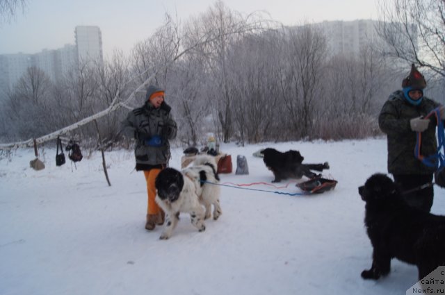 Фотография № 113520