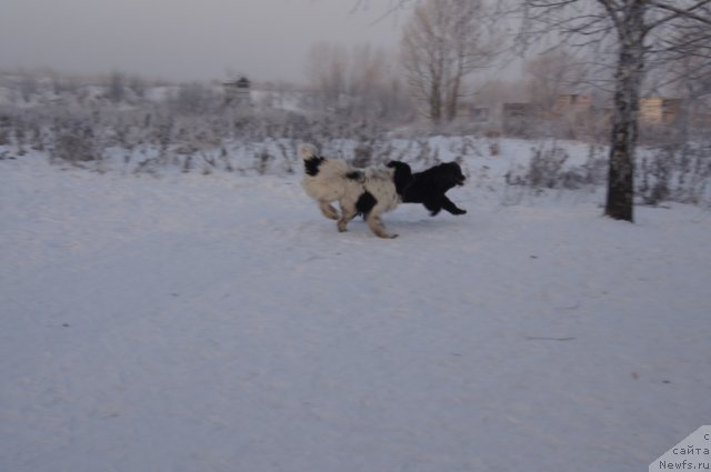 Фотография № 113523