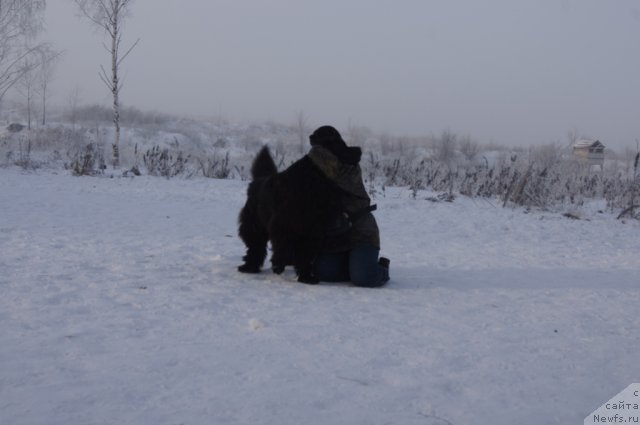 Фотография № 113532