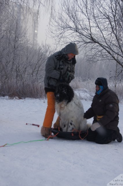 Фотография № 113534