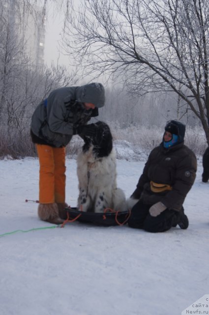 Фотография № 113535