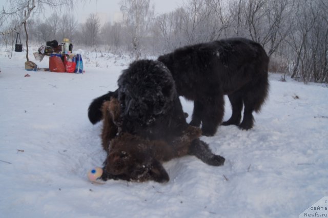 Фотография № 113536