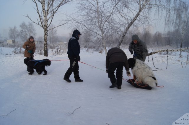 Фотография № 113537