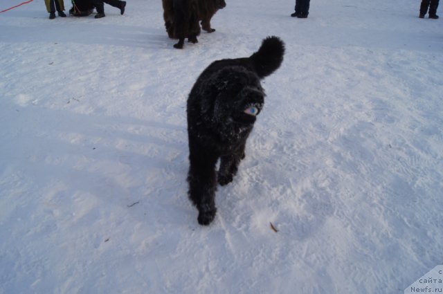 Фотография № 113538