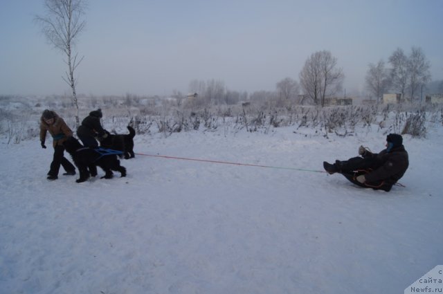 Фотография № 113540