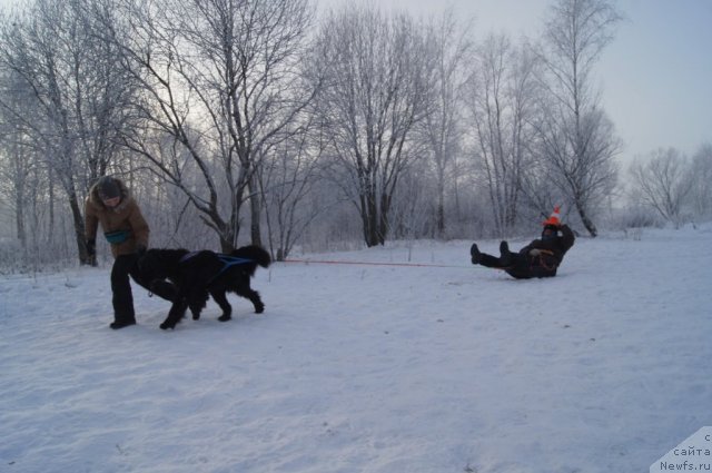 Фотография № 113542