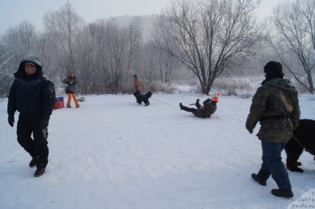 Фотография № 113543