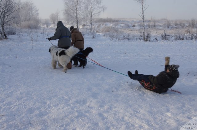 Фотография № 113547