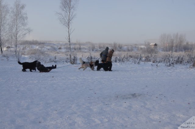 Фотография № 113548