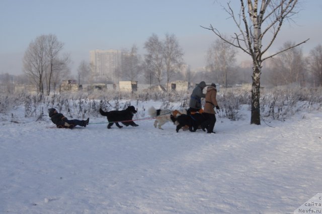 Фотография № 113550