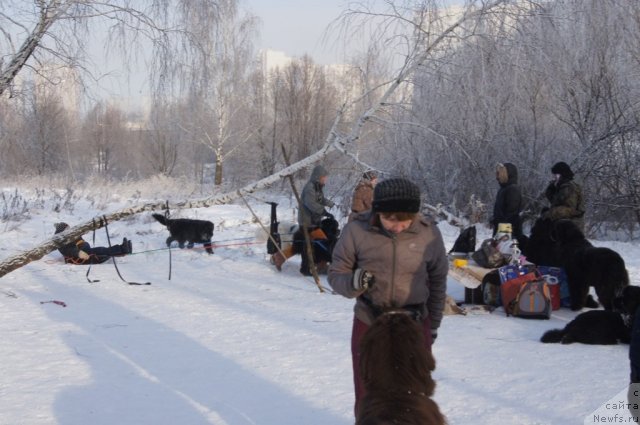 Фотография № 113551