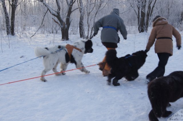 Фотография № 113555