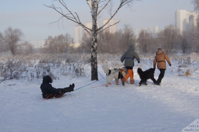 Фотография № 113556