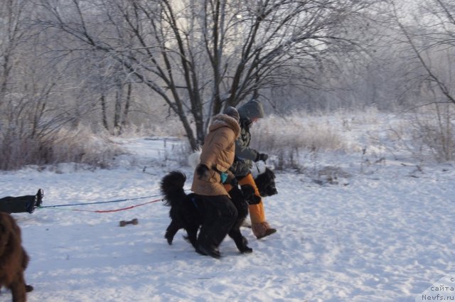 Фотография № 113557