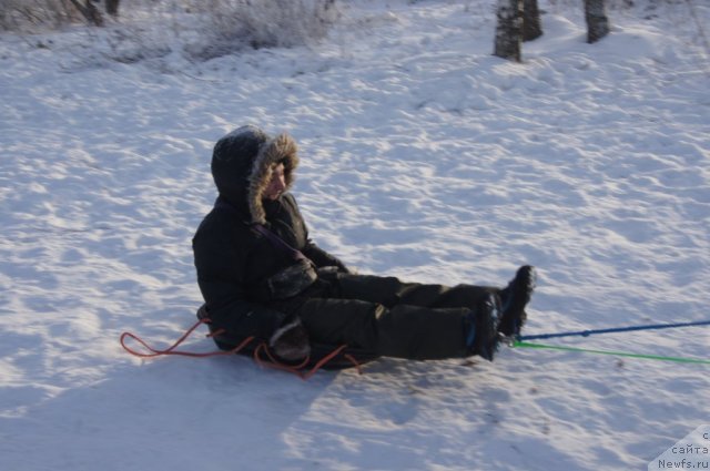 Фотография № 113564