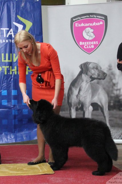 Фотография № 113573