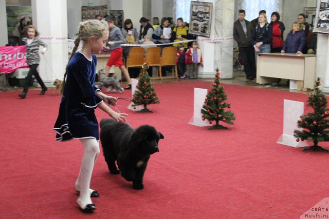 Фотография № 113577