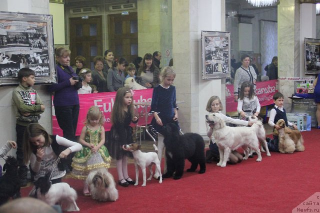 Фотография № 113578