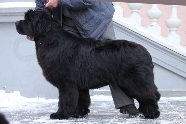 Фотография № 113584