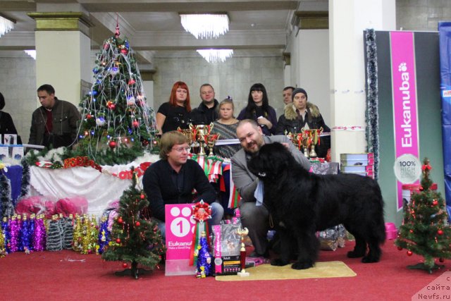 Фотография № 113587