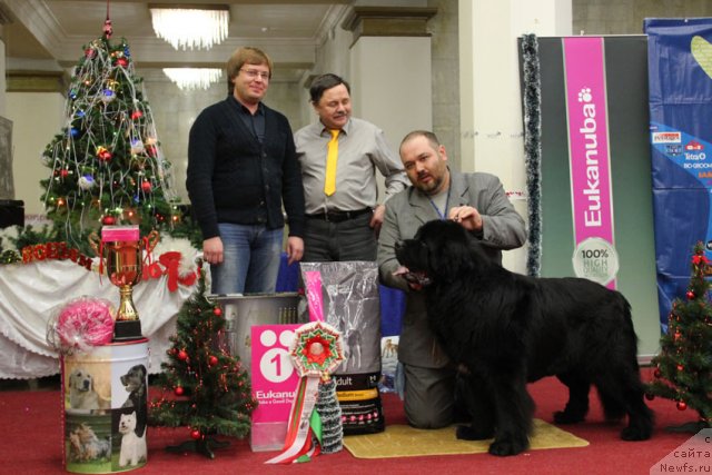 Фотография № 113588