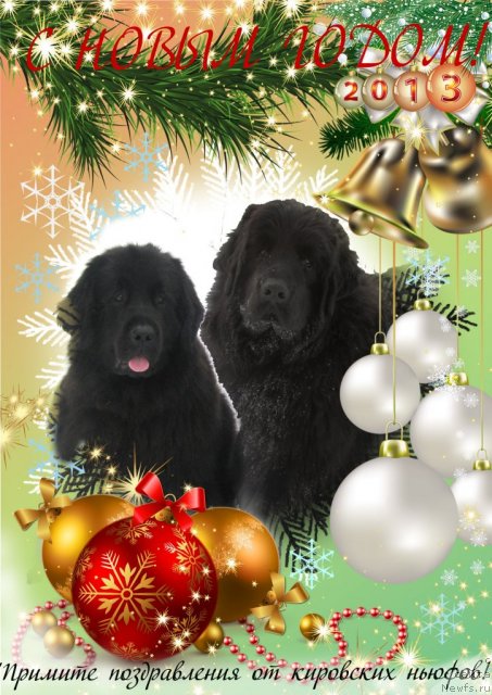 Фотография № 113591