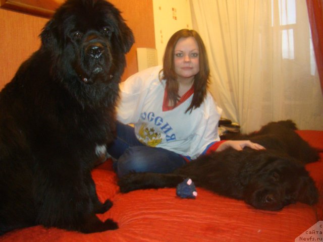 Фотография № 113594