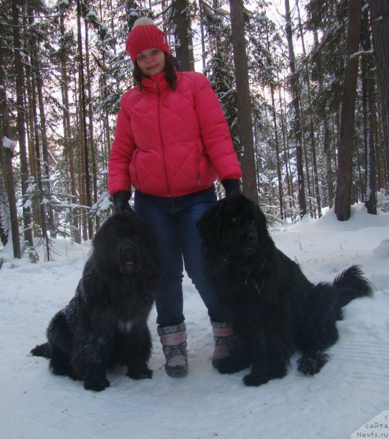 Фотография № 113597