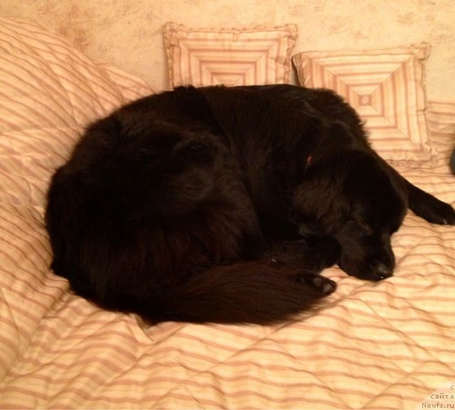 Фотография № 113622