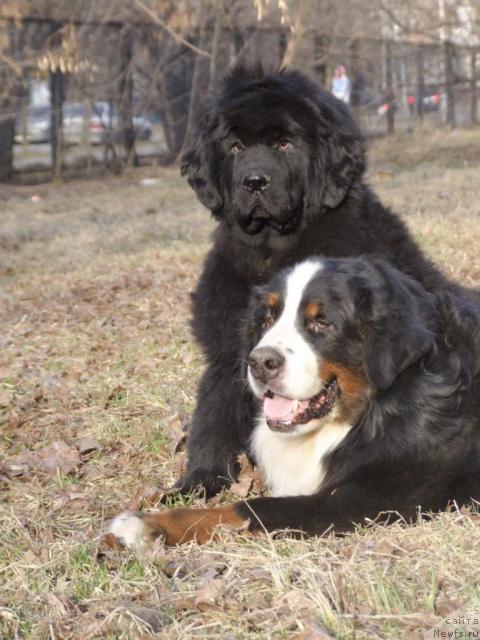 Фотография № 11363