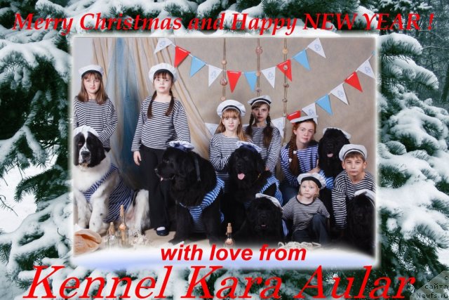 Фотография № 113636