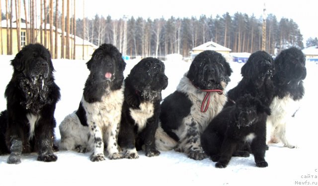 Фотография № 113638