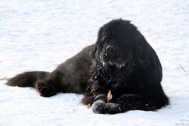 Фотография № 113644