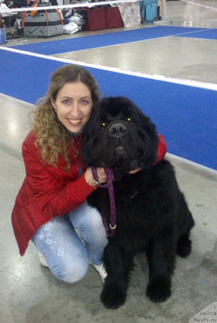 Фото: Marina Demidova (Марина Демидова), ньюфаундленд Kloofbears My Dream for Sent Djons