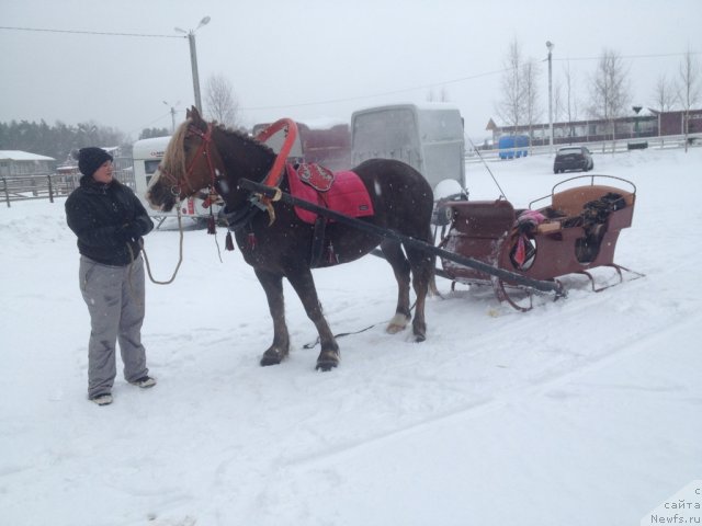Фото: Mariya SHigal' (Мария Шигаль)