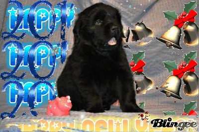 Фотография № 113687