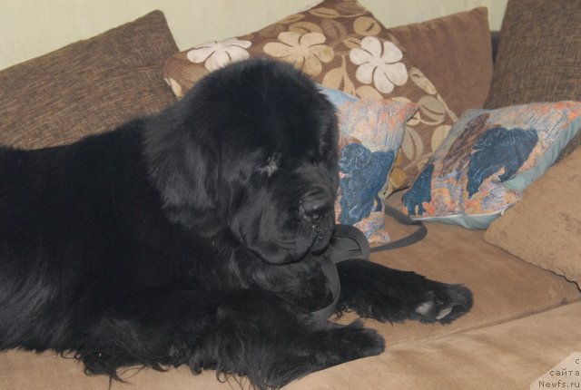 Фотография № 113713