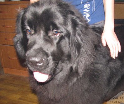 Фотография № 113715