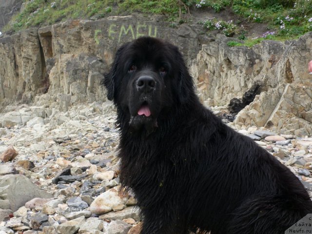 Фотография № 113718