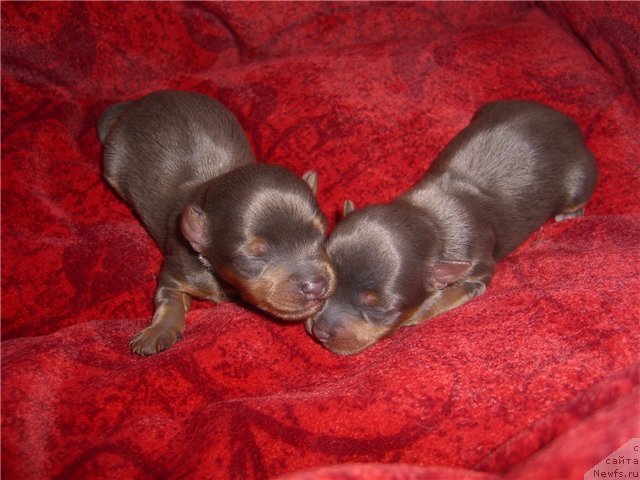 Фотография № 113749