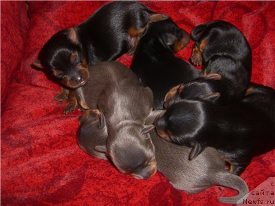 Фотография № 113750