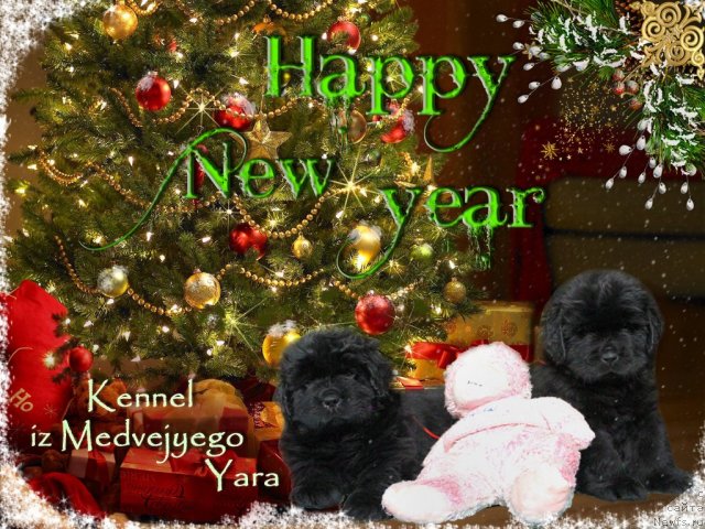 Фотография № 113772