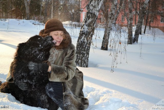 Фотография № 113784