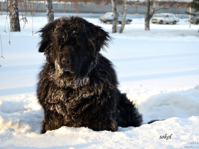 Фотография № 113785