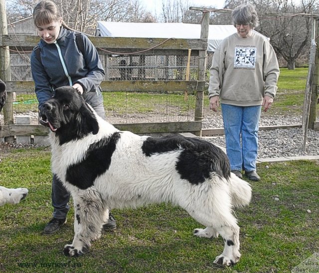 Фотография № 113893