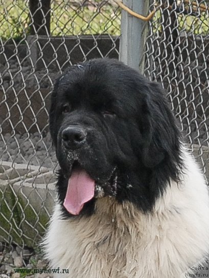 Фотография № 113899