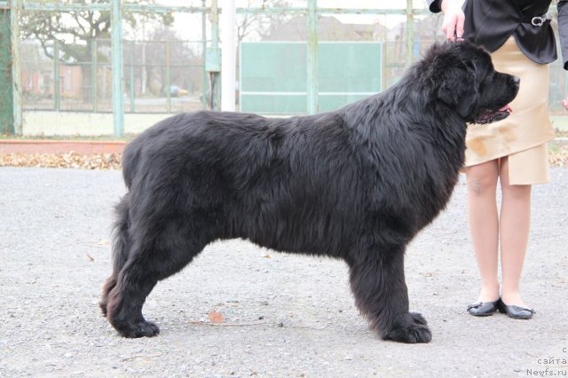 Фотография № 113907