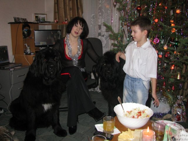 Фотография № 113924