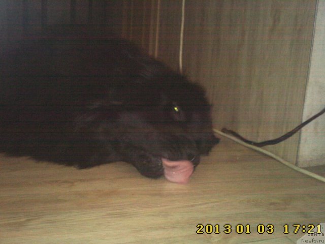 Фотография № 113955