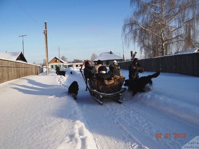 Фотография № 113982